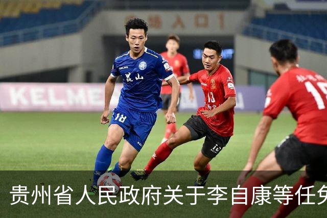 贵州省人民政府关于李自康等任免职的通知
